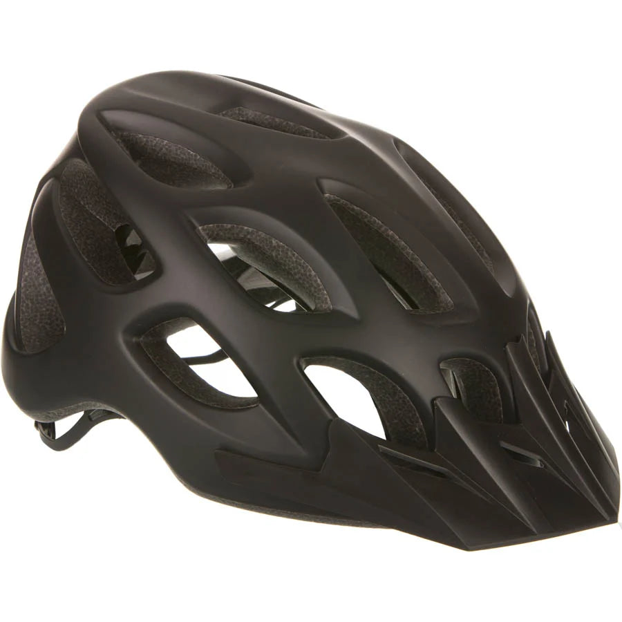 Evo Flipshot Helmet